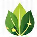 Sustainability Icon - Leaf and recycling arrows